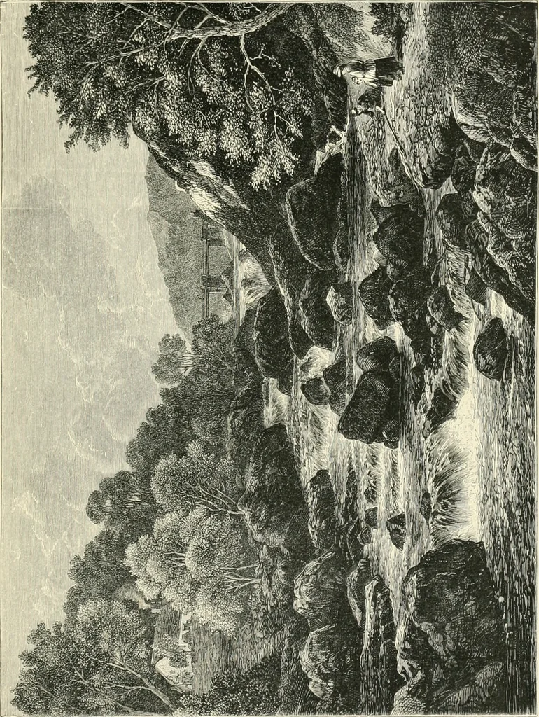 An illustration from British painters; with eighty examples of their work engraved on wood, 1881, leaf 218
