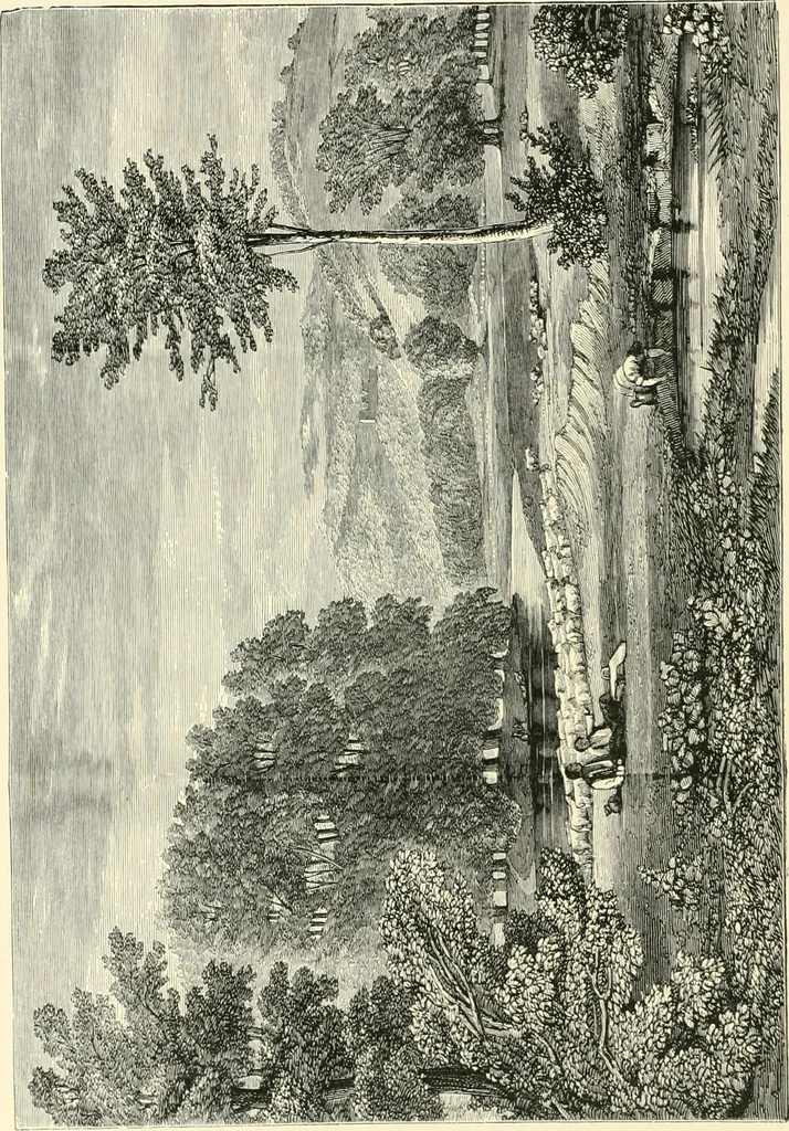 An illustration from British painters; with eighty examples of their work engraved on wood, 1881, leaf 73