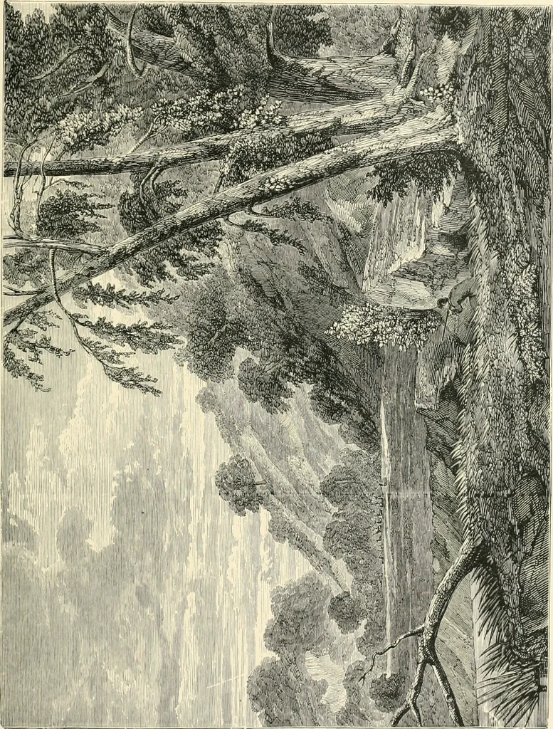 An illustration from British painters; with eighty examples of their work engraved on wood, 1881, leaf 76