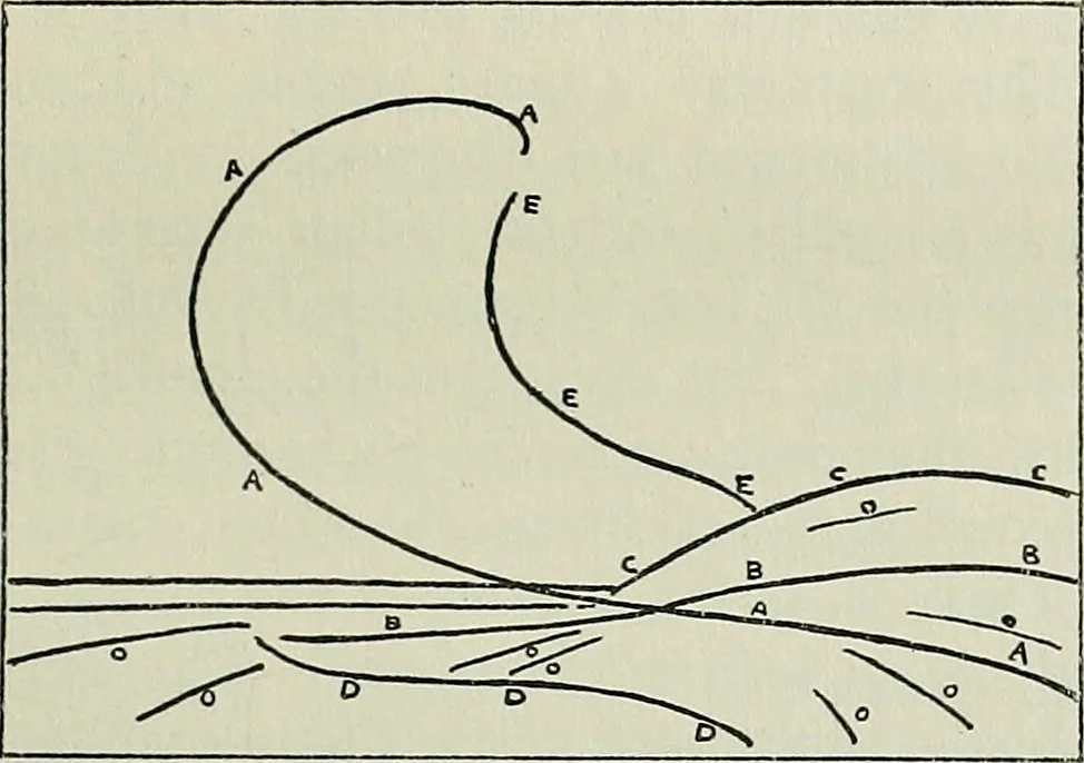 An illustration from British water-colour painting and painters of to-day, 1920, leaf 118