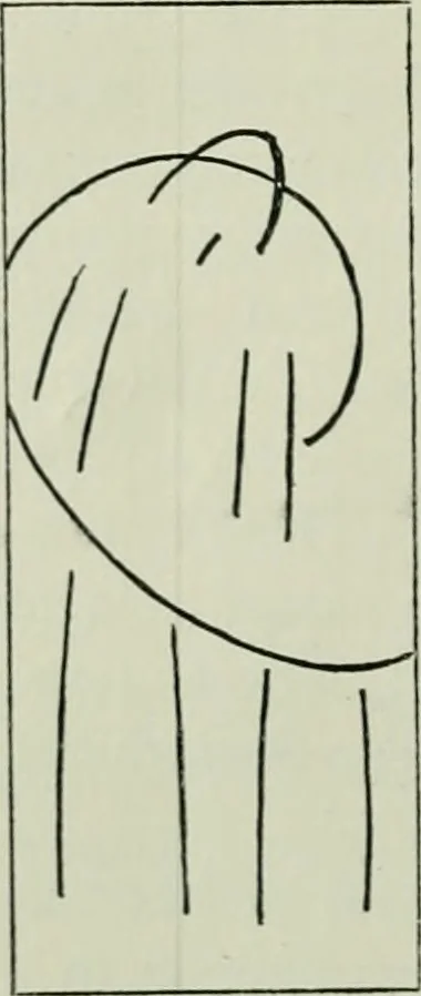 An illustration from British water-colour painting and painters of to-day, 1920, leaf 43
