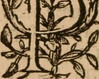 An illustration from Britton : [a treatise on the laws of England], 1640, leaf 203