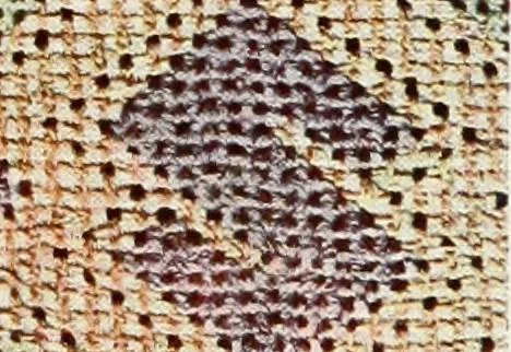 An illustration from Broderies des paysannes de Smolensk; Exécutées sous la direction de la Princesse Marie Ténichev, 1900, leaf 28