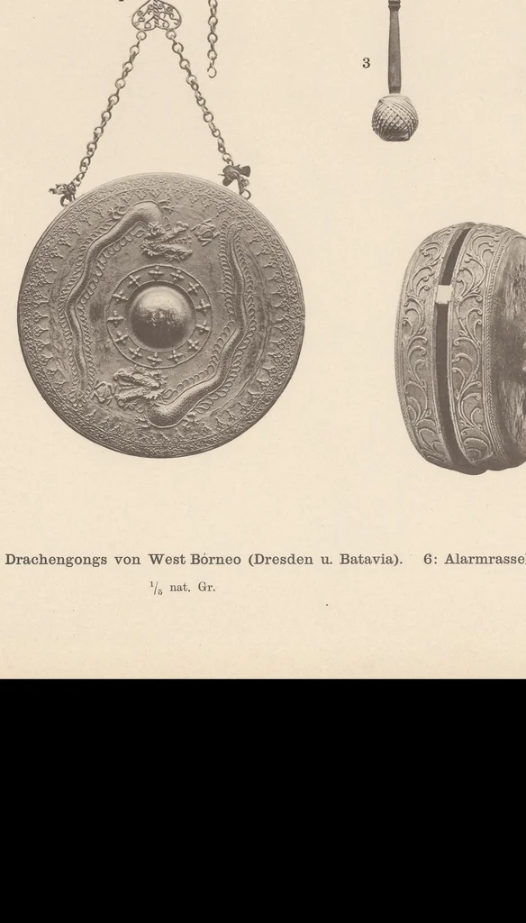 An illustration from Bronzepauken aus Südost-Asien, 1897, leaf 45