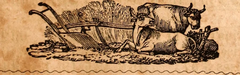 An illustration from Brother Jonathan's almanac, for the year of our Lord 1847, 1846, leaf 22
