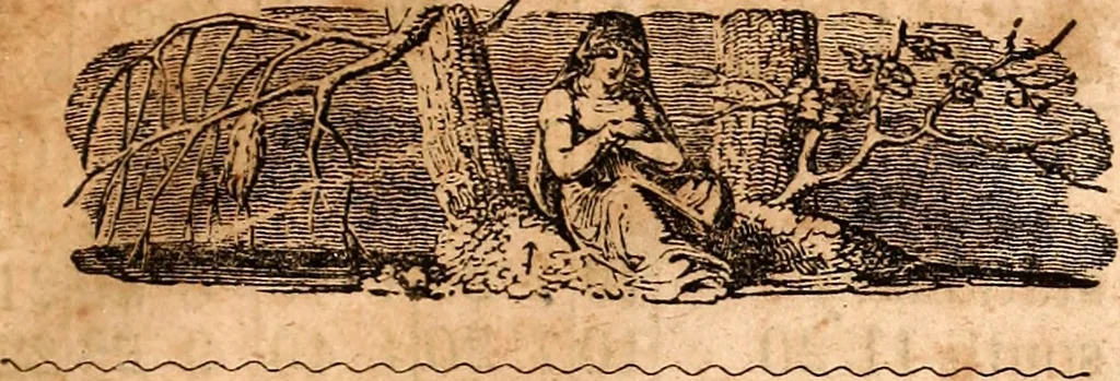 An illustration from Brother Jonathan's almanac, for the year of our Lord 1847, 1846, leaf 26