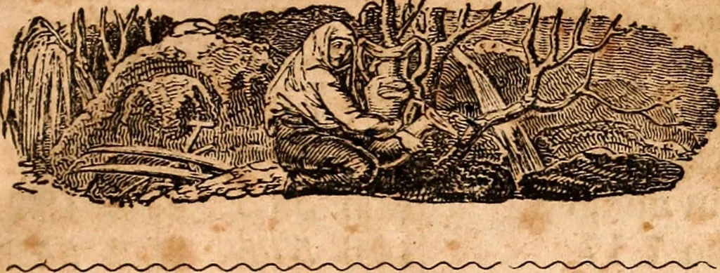 An illustration from Brother Jonathan's almanac, for the year of our Lord 1847, 1846, leaf 6
