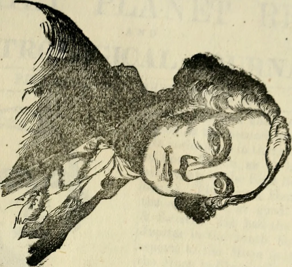 An illustration from Broughton's monthly planet reader and astrological journal, 1860, leaf 124