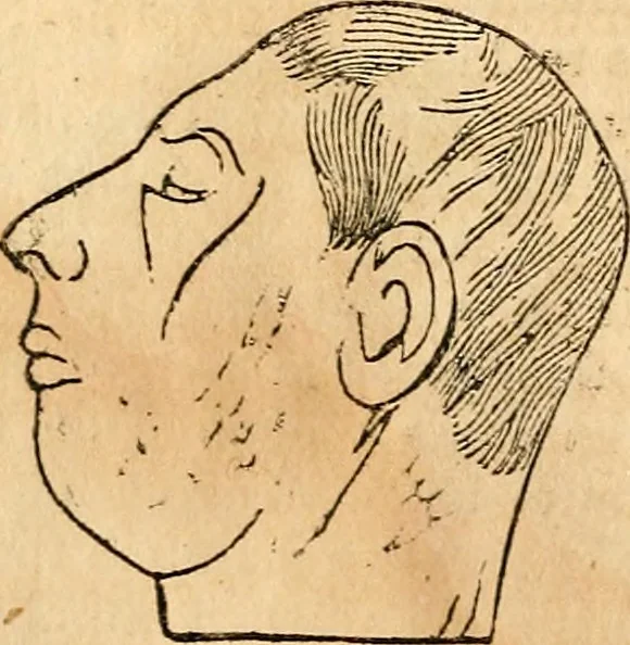 An illustration from Broughton's monthly planet reader and astrological journal, 1860, leaf 39