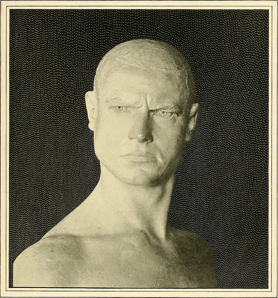 An illustration from Browere's life masks of great Americans, 1899, leaf 200
