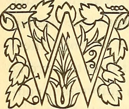 An illustration from Browere's life masks of great Americans, 1899, leaf 35