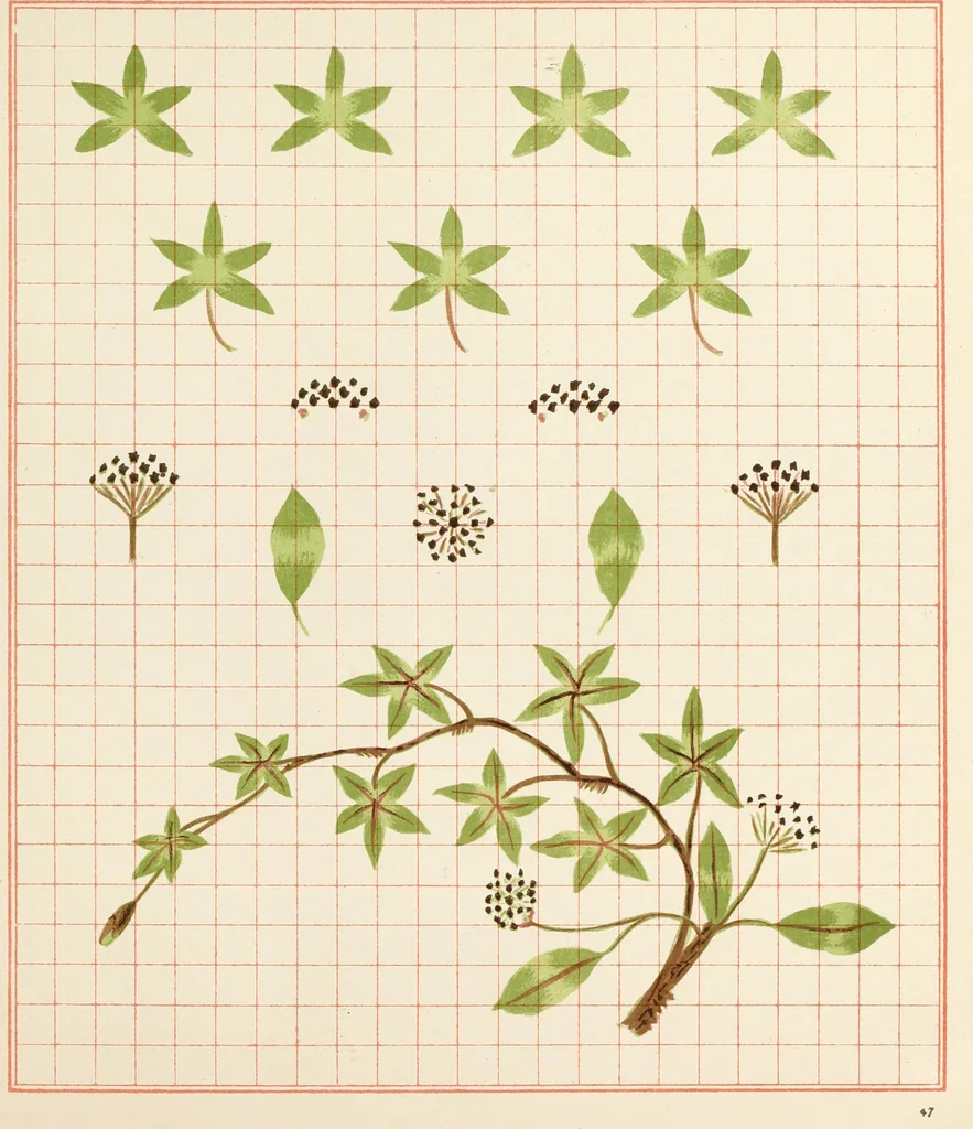 An illustration from Brushwork : elementary brush-forms, 1903, leaf 50
