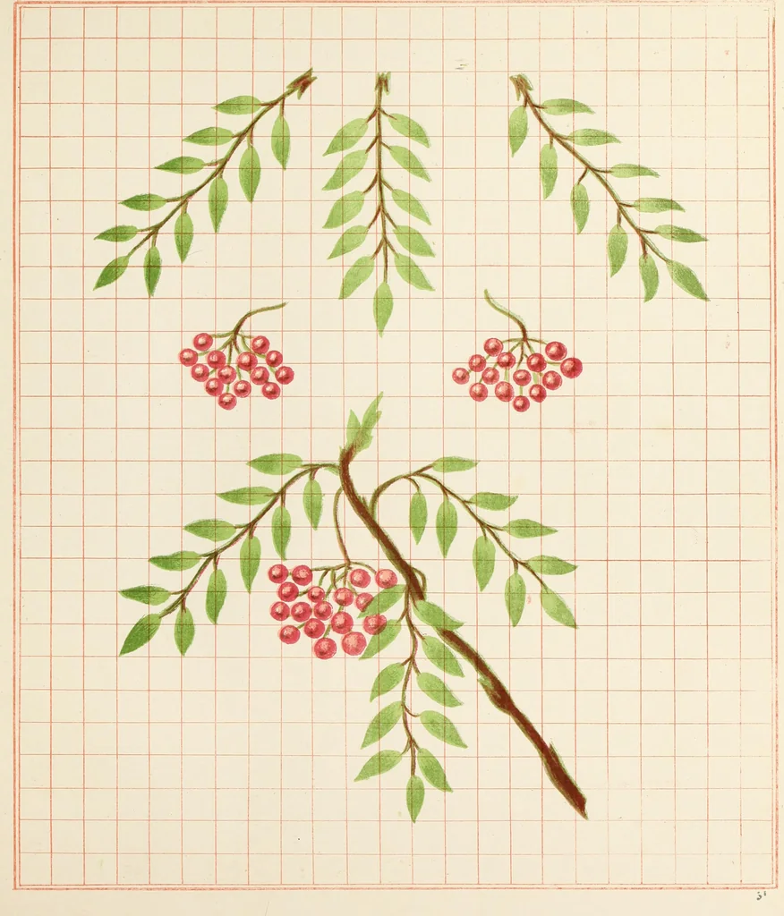 An illustration from Brushwork : elementary brush-forms, 1903, leaf 54