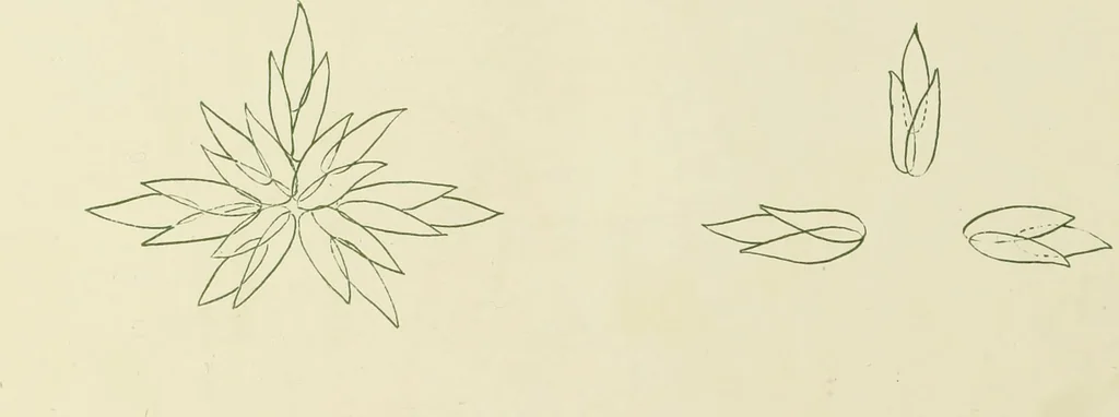 An illustration from Brushwork : elementary brush-forms, 1903, leaf 61