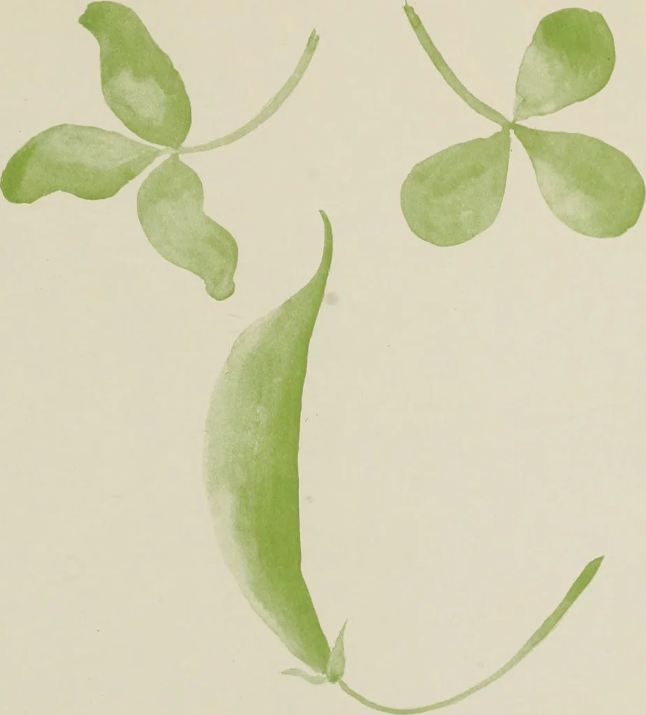 An illustration from Brush work for kindergarten and primary schools, 1896, leaf 38