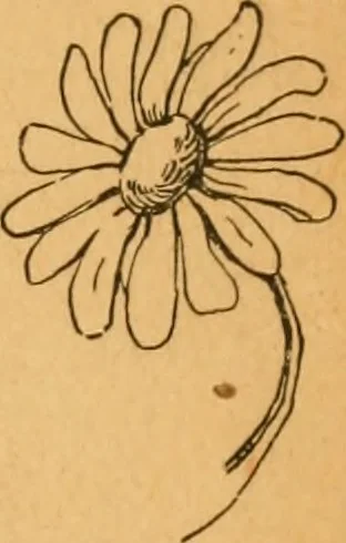 An illustration from Brush work for kindergarten and primary schools, 1896, leaf 4