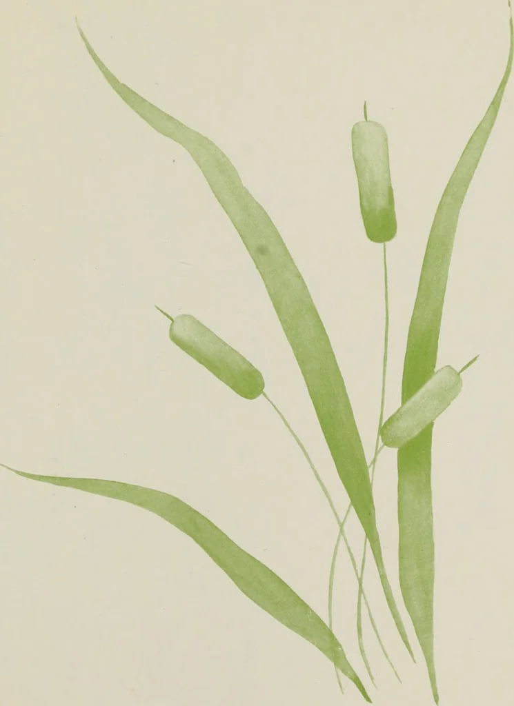 An illustration from Brush work for kindergarten and primary schools, 1896, leaf 44