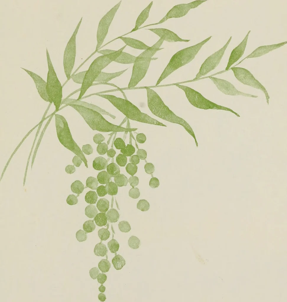 An illustration from Brush work for kindergarten and primary schools, 1896, leaf 46