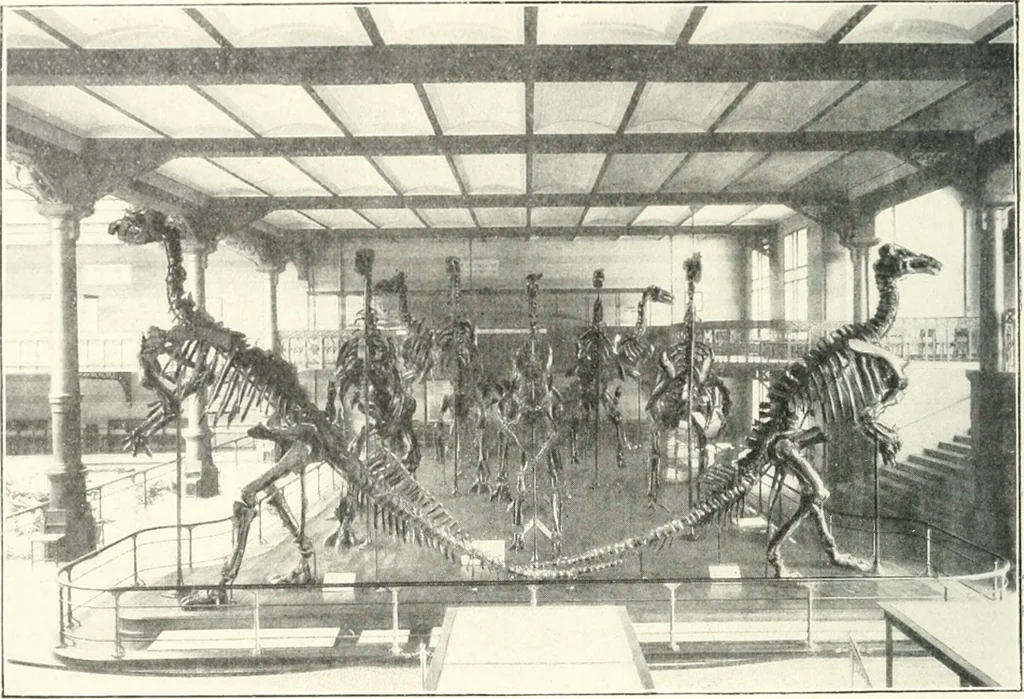 An illustration from Bruxelles, 1910, leaf 147