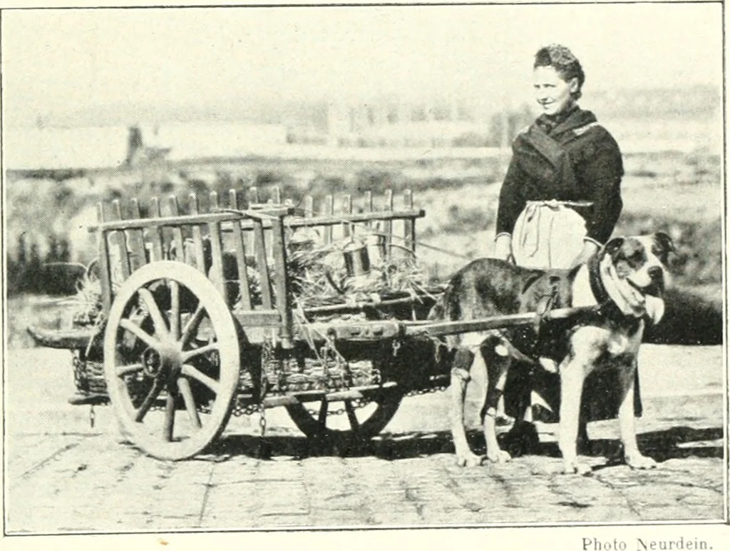 An illustration from Bruxelles, 1910, leaf 176