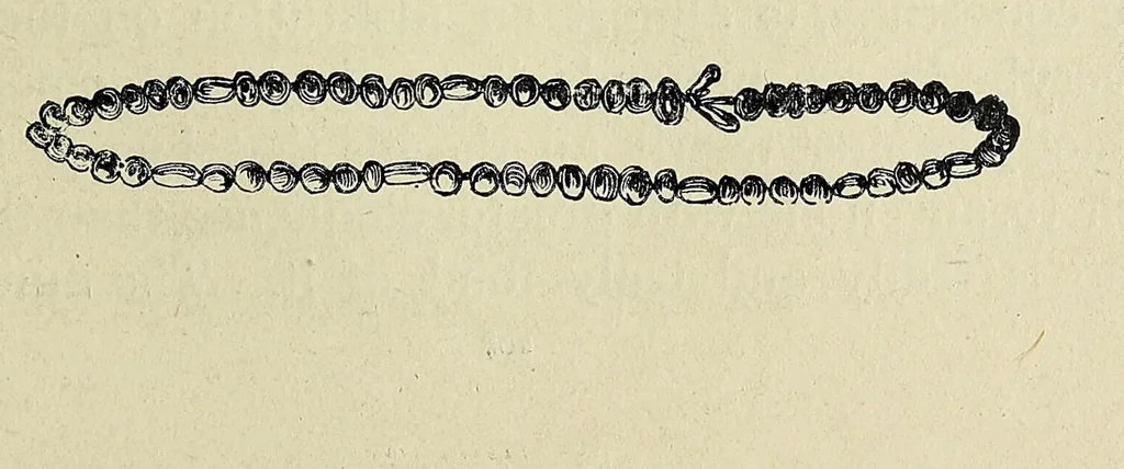 An illustration from Bryan Roe : a soldier of the cross : missionary travels and adventure in West Central Africa, 1896, leaf 215