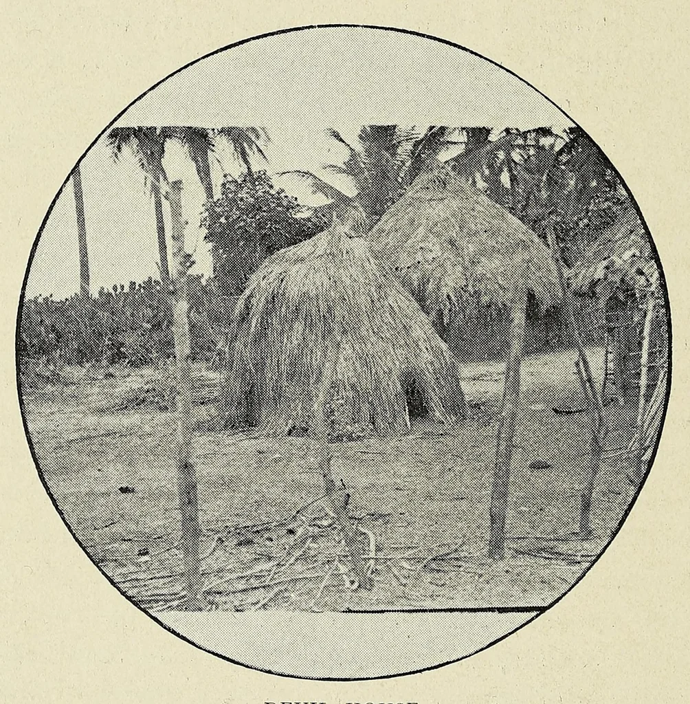 An illustration from Bryan Roe : a soldier of the cross : missionary travels and adventure in West Central Africa, 1896, leaf 234