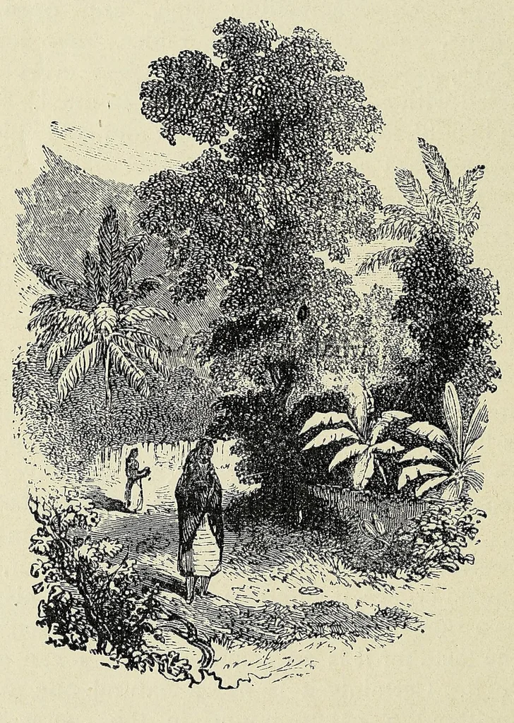 An illustration from Bryan Roe : a soldier of the cross : missionary travels and adventure in West Central Africa, 1896, leaf 250