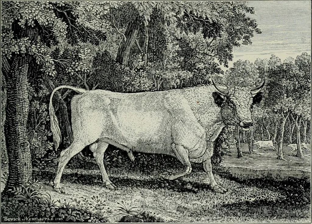 An illustration from Bryan's dictionary of painters and engravers, 1903, leaf 194