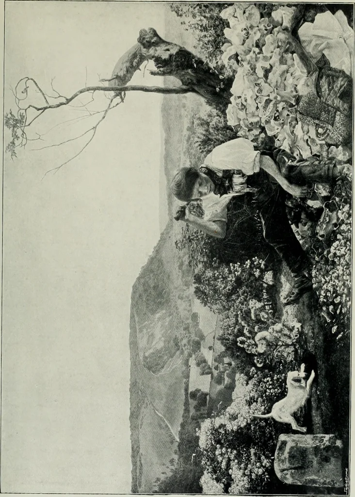 An illustration from Bryan's dictionary of painters and engravers, 1903, leaf 298