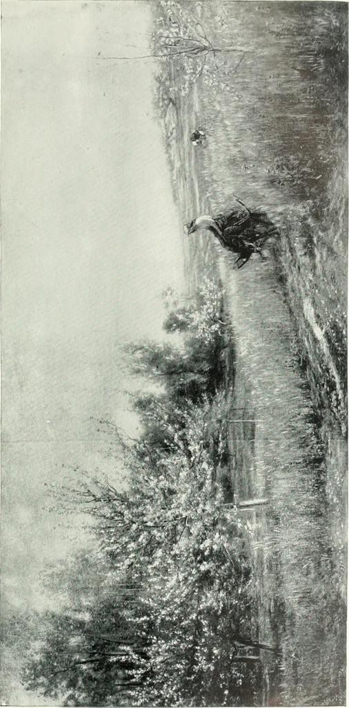 An illustration from Bryan's dictionary of painters and engravers, 1903, leaf 34