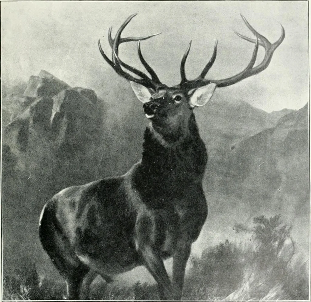 An illustration from Bryan's dictionary of painters and engravers, 1903, leaf 254