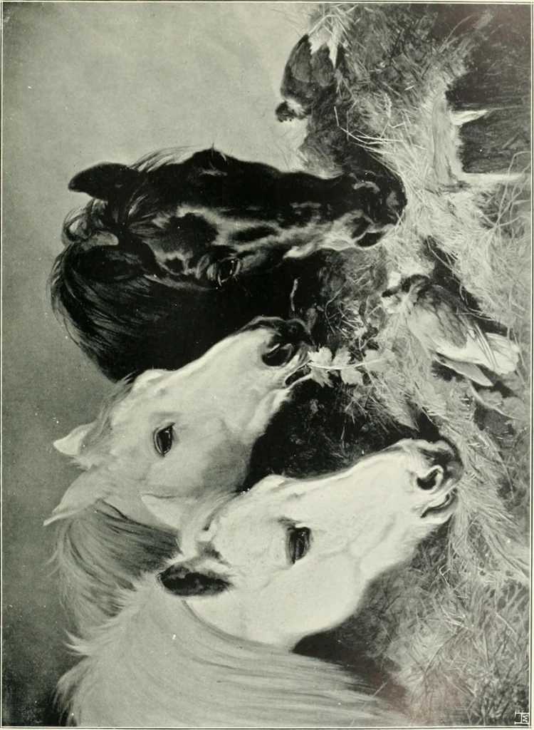 An illustration from Bryan's dictionary of painters and engravers, 1903, leaf 68