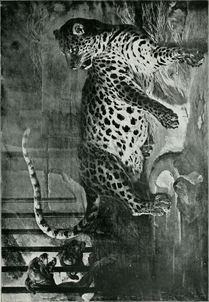 An illustration from Bryan's dictionary of painters and engravers, 1903, leaf 110