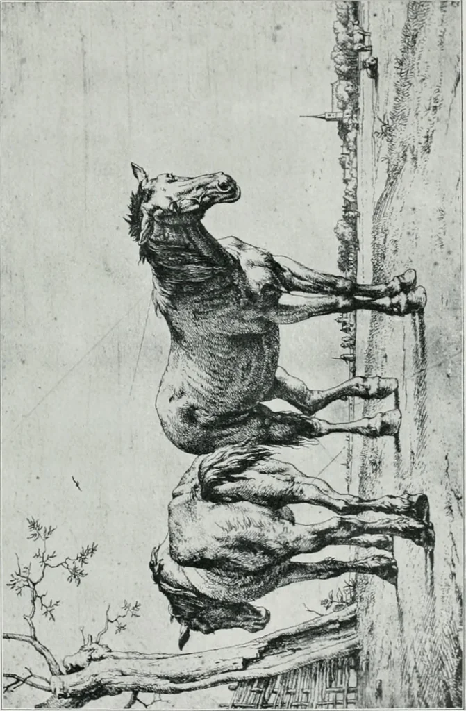 An illustration from Bryan's dictionary of painters and engravers, 1903, leaf 258