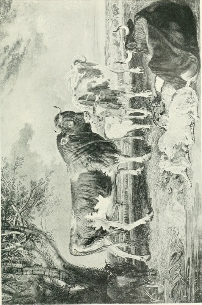An illustration from Bryan's dictionary of painters and engravers, 1903, leaf 518