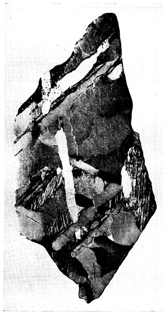 An illustration from BSTJ 3: 1. January 1924: Photomicrography and Technical Microscopy in Its Application to Telephone Apparatus. (Lucas, Francis F.), 1924, leaf 34
