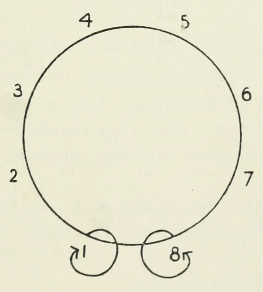 An illustration from Twenty-five new figure and character dances, 1927, leaf 39