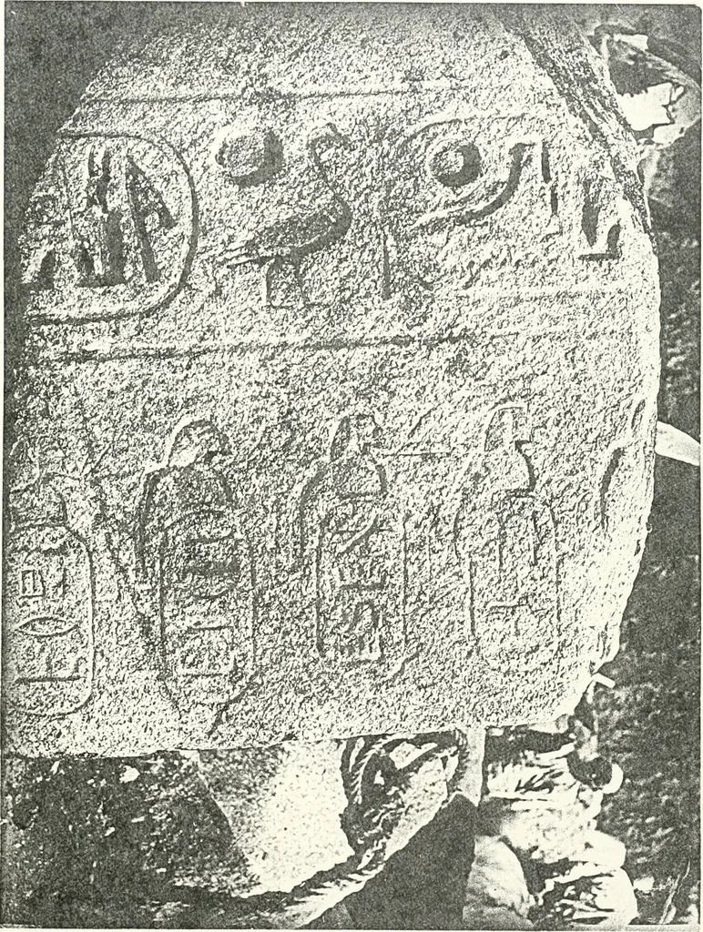 An illustration from Bubastis (1887-1889), 1891, leaf 116
