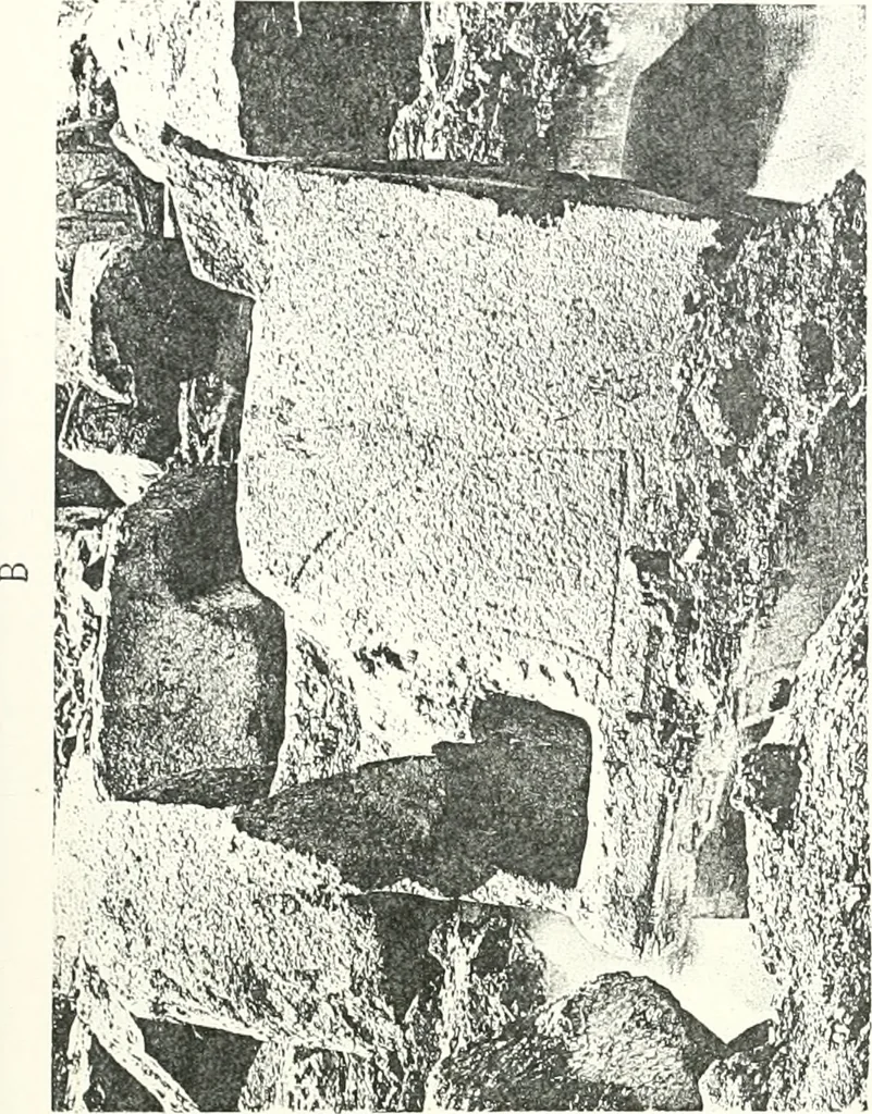 An illustration from Bubastis (1887-1889), 1891, leaf 126