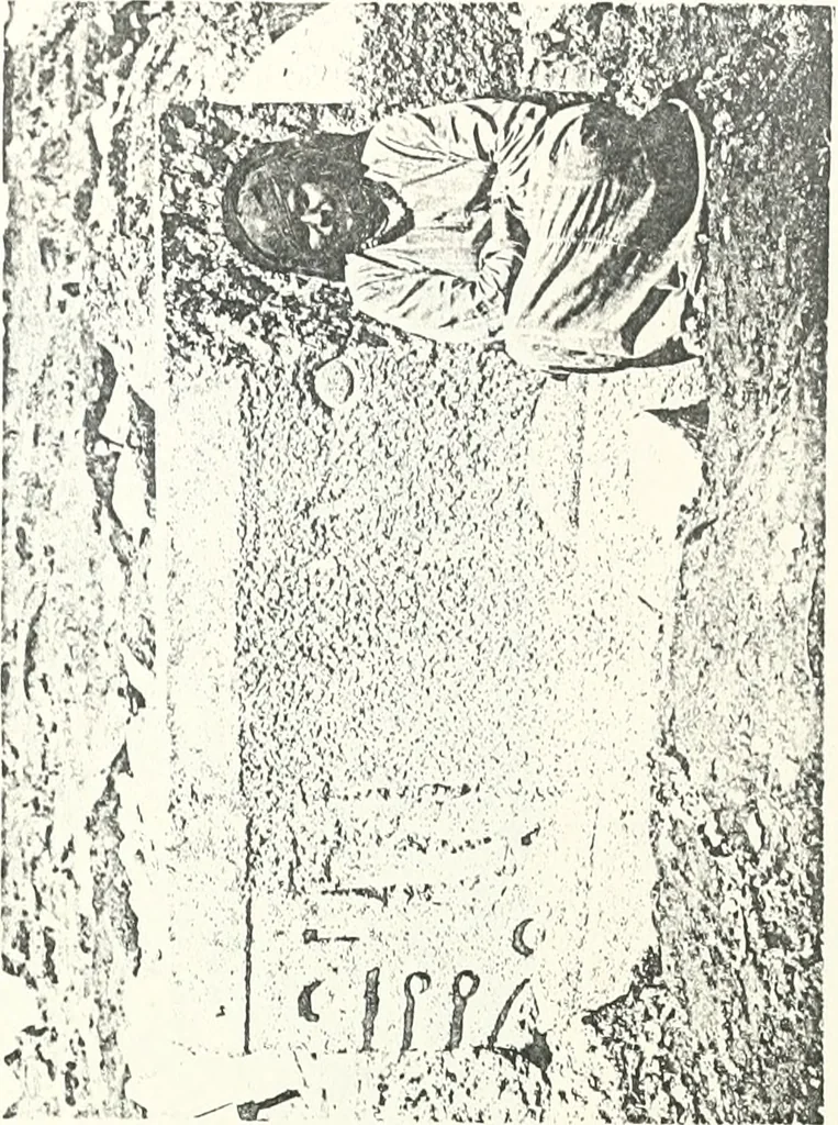 An illustration from Bubastis (1887-1889), 1891, leaf 134