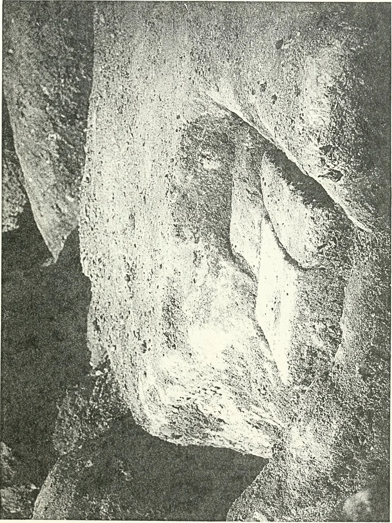 An illustration from Bubastis (1887-1889), 1891, leaf 136