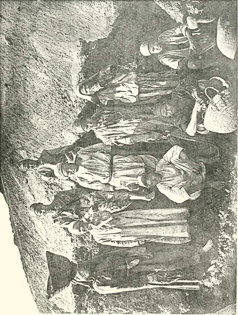An illustration from Bubastis (1887-1889), 1891, leaf 144