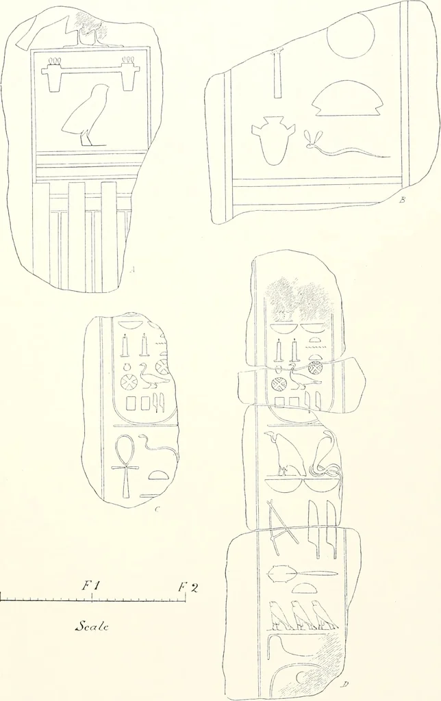 An illustration from Bubastis (1887-1889), 1891, leaf 146