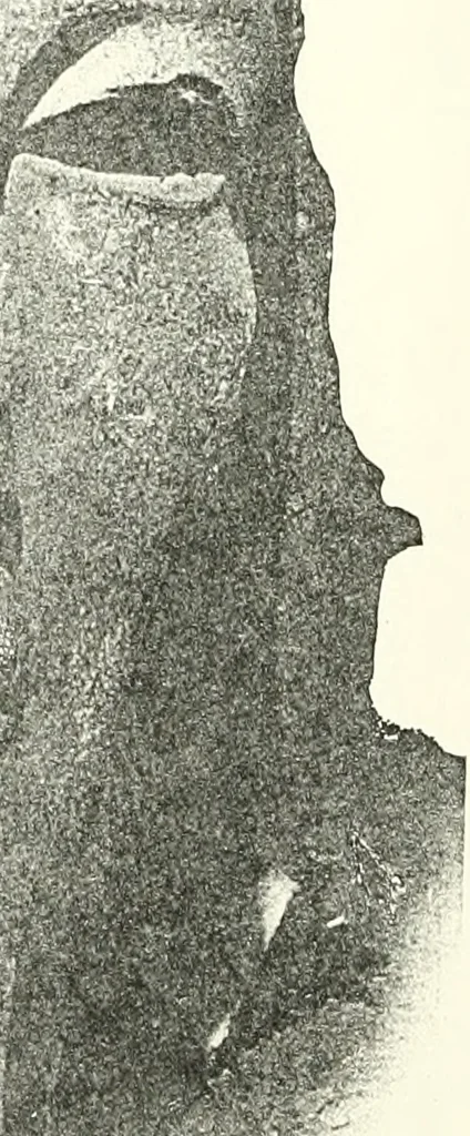 An illustration from Bubastis (1887-1889), 1891, leaf 5