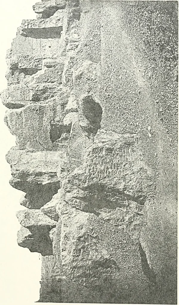 An illustration from Bubastis (1887-1889), 1891, leaf 86