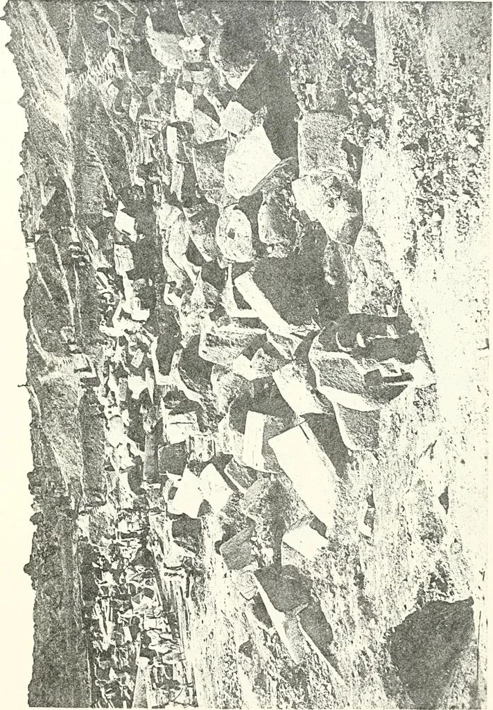 An illustration from Bubastis (1887-1889), 1891, leaf 88