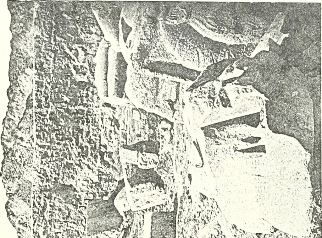 An illustration from Bubastis (1887-1889), 1891, leaf 94