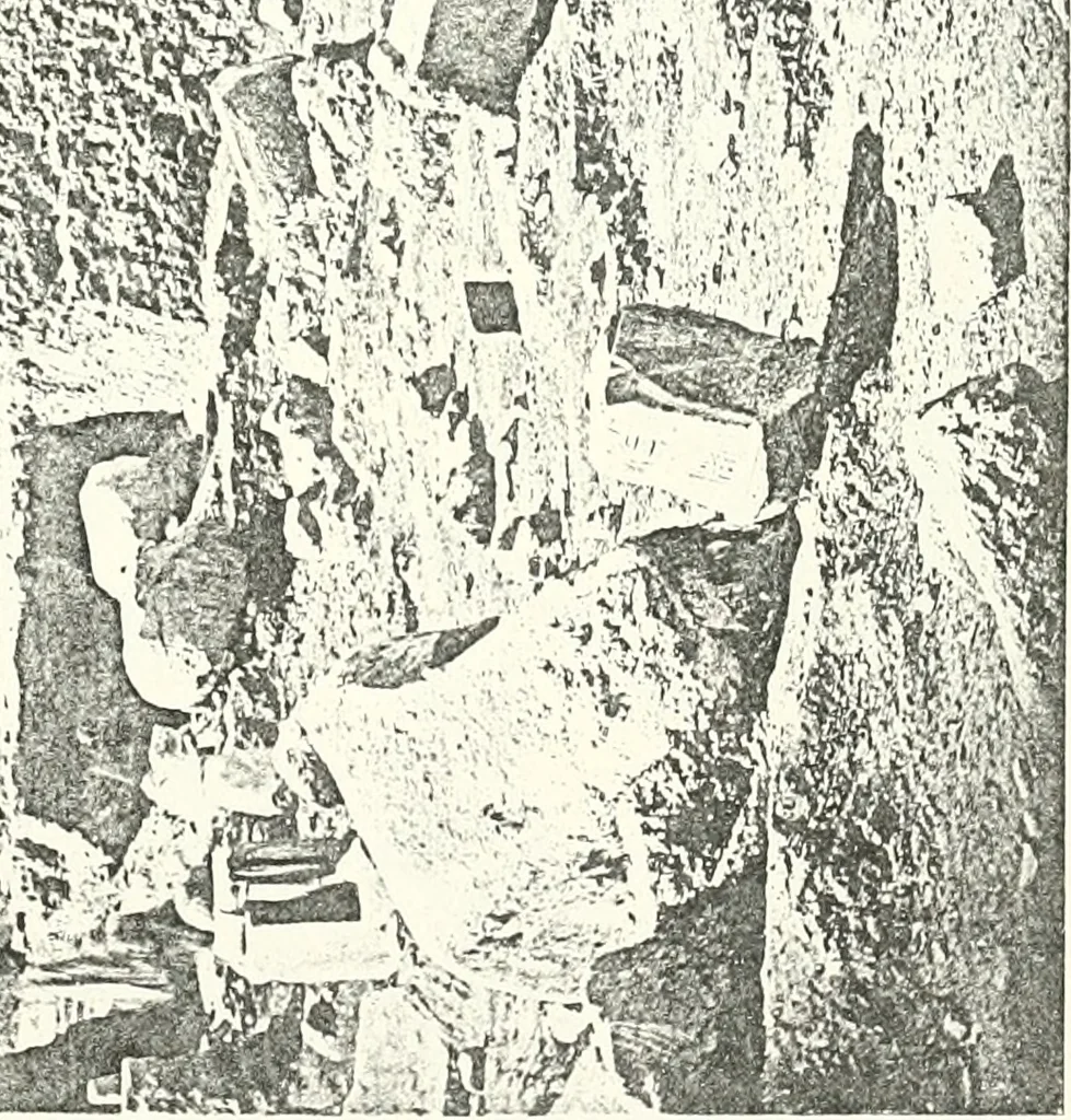 An illustration from Bubastis (1887-1889), 1891, leaf 94