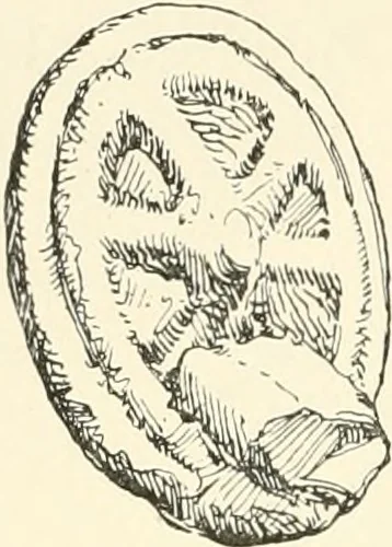 An illustration from The Buddhist praying-wheel : a collection of material bearing upon the symbolism of the wheel and circular movements in custom and religious ritual, 1896, leaf 255