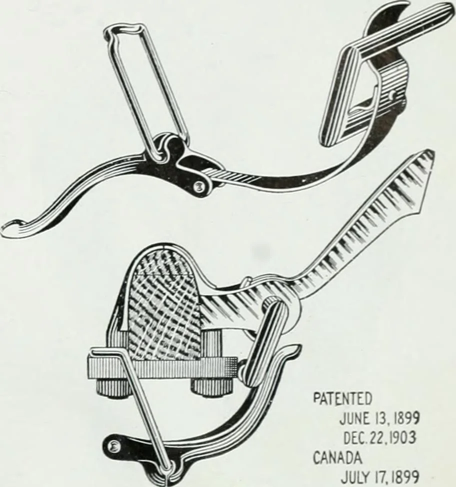 An illustration from The buggy from Glengarry : fine grade vehicles manufactured by the Munro & McIntosh Carriage Co., Limited, Alexandria, Ontario, Canada. --, 1890, leaf 122